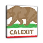 Calexit Mini Canvas 6  x 6  (Stretched)