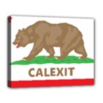 Calexit Canvas 14  x 11  (Stretched)