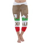 Calexit Capri Winter Leggings 