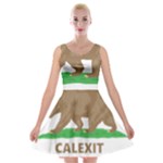 Calexit Velvet Skater Dress