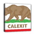 Calexit Mini Canvas 8  x 8  (Stretched)