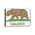 Calexit Mini Canvas 6  x 4  (Stretched)