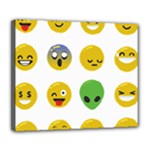 Emoji Happy Face Deluxe Canvas 24  x 20  (Stretched)