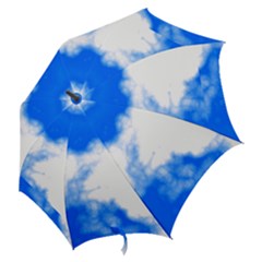 Hook Handle Umbrella (Medium) 