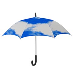 Hook Handle Umbrella (Medium) 