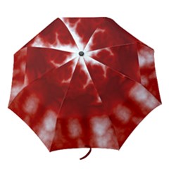 Folding Umbrella 