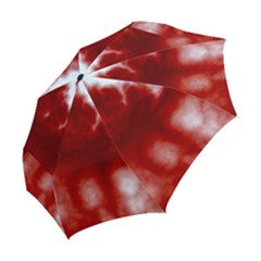 Folding Umbrella 