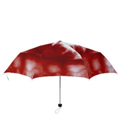 Folding Umbrella 