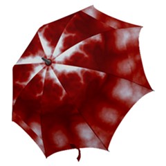 Hook Handle Umbrella (Medium) 