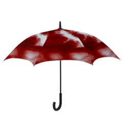 Hook Handle Umbrella (Medium) 