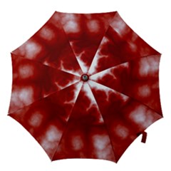 Hook Handle Umbrella (Small) 