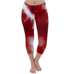 Capri Winter Leggings  Front