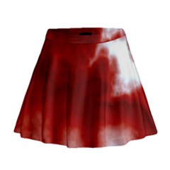 Mini Flare Skirt 