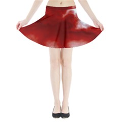 Mini Flare Skirt 