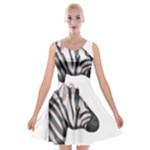 Emoji Zebra Velvet Skater Dress