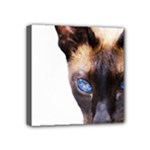 Siamese Cat Mini Canvas 4  x 4  (Stretched)