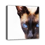 Siamese Cat Mini Canvas 6  x 6  (Stretched)