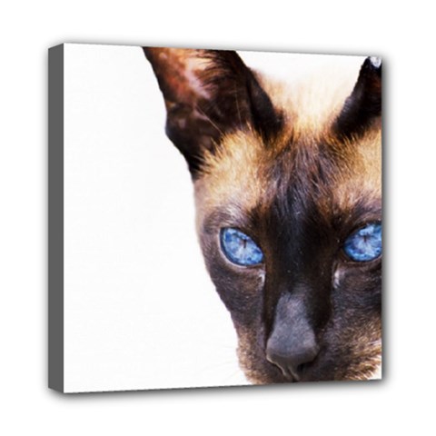 Siamese Cat Mini Canvas 8  x 8  (Stretched) from ArtsNow.com