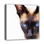 Siamese Cat Mini Canvas 8  x 8  (Stretched)