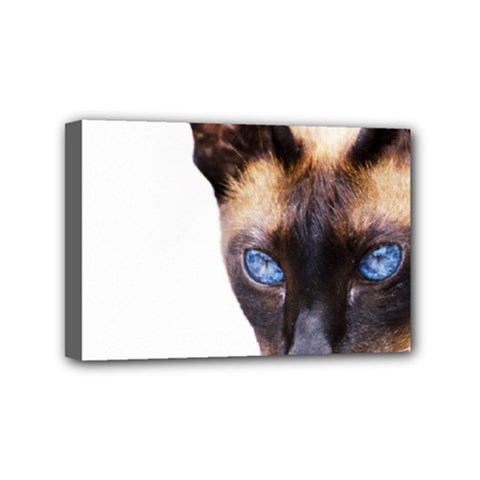 Siamese Cat Mini Canvas 6  x 4  (Stretched) from ArtsNow.com