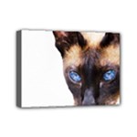 Siamese Cat Mini Canvas 7  x 5  (Stretched)