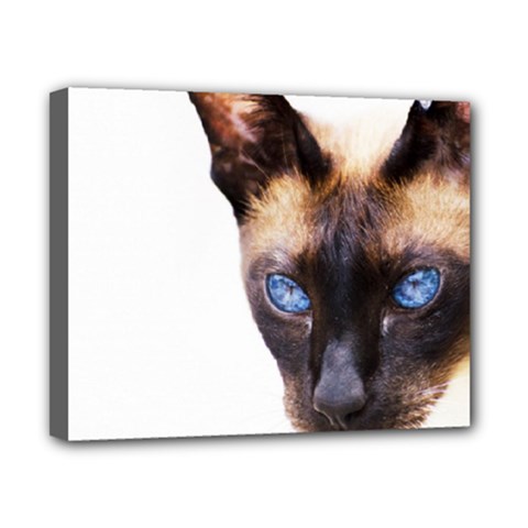 Siamese Cat Canvas 10  x 8  (Stretched) from ArtsNow.com