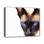 Siamese Cat Canvas 10  x 8  (Stretched)