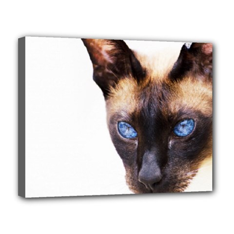 Siamese Cat Canvas 14  x 11  (Stretched) from ArtsNow.com