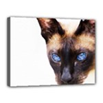 Siamese Cat Canvas 16  x 12  (Stretched)