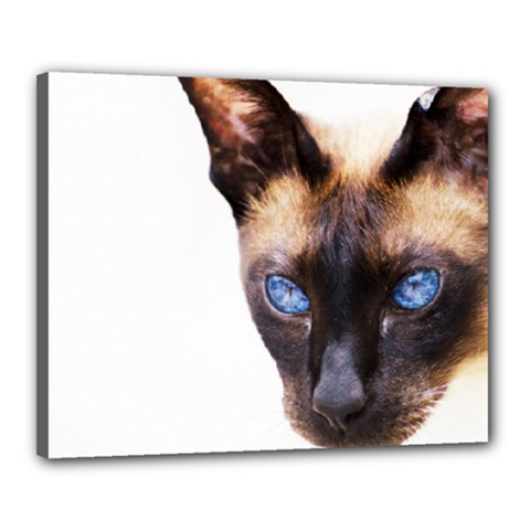 Siamese Cat Canvas 20  x 16  (Stretched) from ArtsNow.com