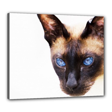 Siamese Cat Canvas 24  x 20  (Stretched) from ArtsNow.com