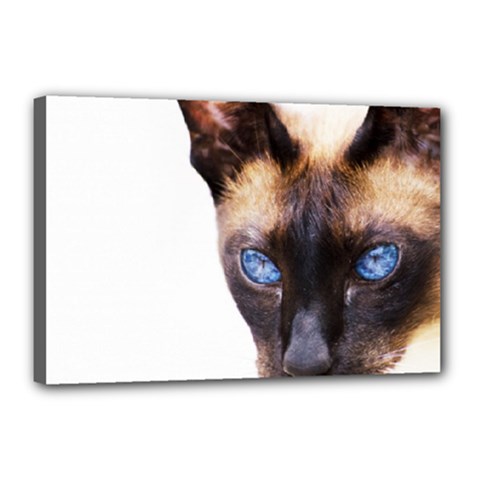 Siamese Cat Canvas 18  x 12  (Stretched) from ArtsNow.com