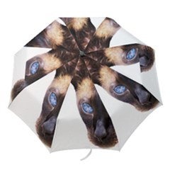 Folding Umbrella 