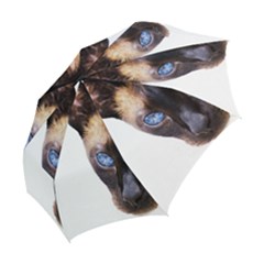 Folding Umbrella 