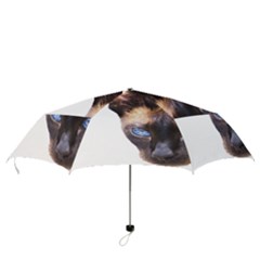 Folding Umbrella 