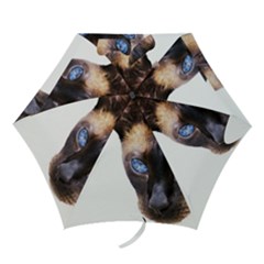 Mini Folding Umbrella 