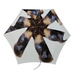 Siamese Cat Mini Folding Umbrella