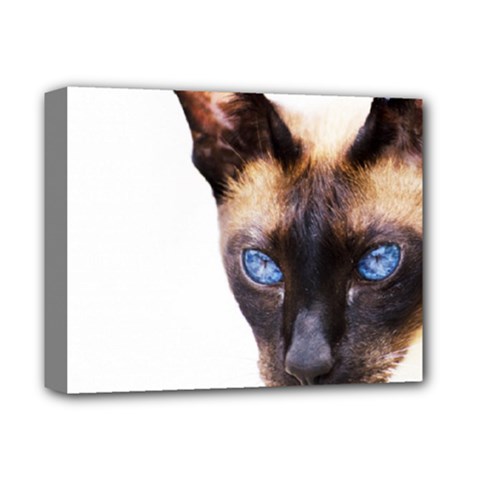 Siamese Cat Deluxe Canvas 14  x 11  (Stretched) from ArtsNow.com