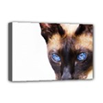 Siamese Cat Deluxe Canvas 18  x 12  (Stretched)