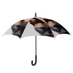 Hook Handle Umbrella (Medium) 