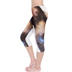 Capri Leggings  Left