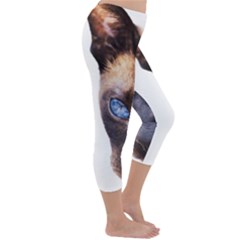 Capri Winter Leggings  