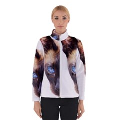 Women s Bomber Jacket 