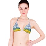 Van gogh Bikini Top