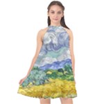 Van gogh Halter Neckline Chiffon Dress 