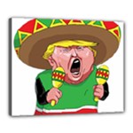 Cinco de Mayo trump Canvas 20  x 16  (Stretched)