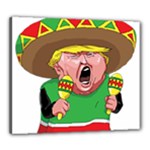 Cinco de Mayo trump Canvas 24  x 20  (Stretched)