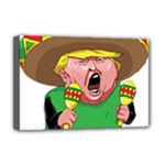 Cinco de Mayo trump Deluxe Canvas 18  x 12  (Stretched)