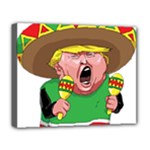 Cinco de Mayo trump Deluxe Canvas 20  x 16  (Stretched)