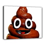 Happy Funny Poop Emoji Canvas 20  x 16  (Stretched)